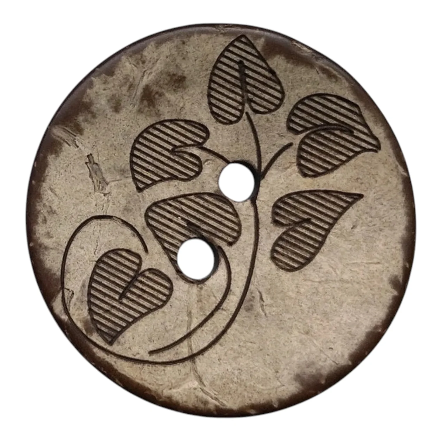 Coconut buttons 2